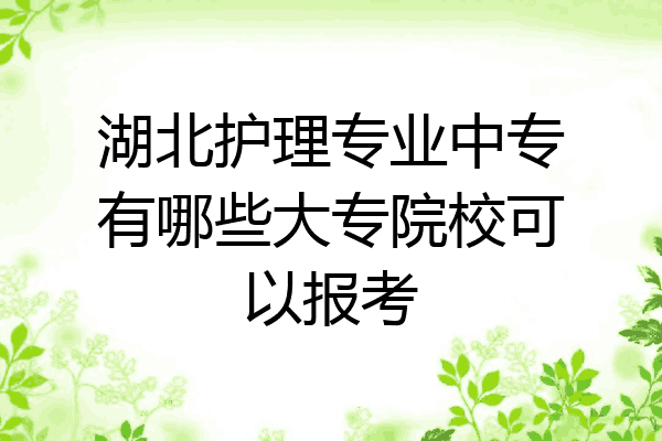 湖北护理专业中专有哪些大专院校可以报考