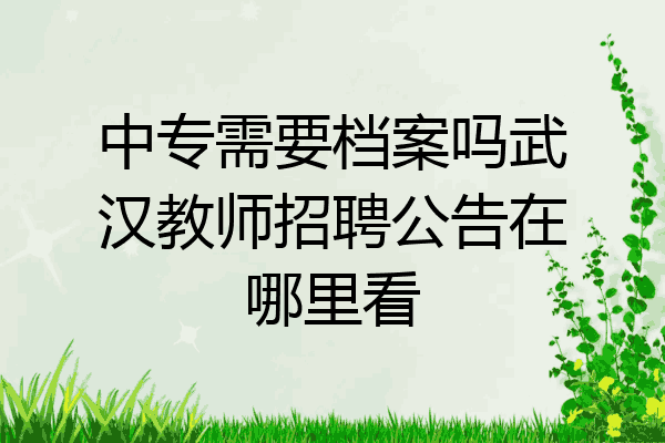 中专需要档案吗武汉教师招聘公告在哪里看