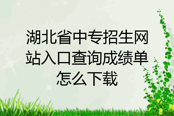 湖北省中专招生网站入口查询成绩单怎么下载