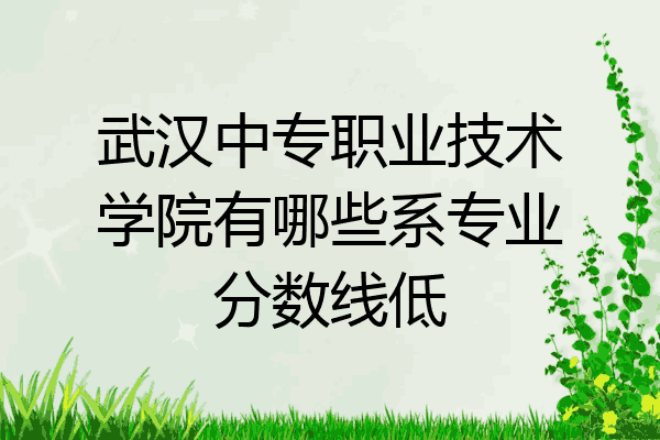 武汉中专职业技术学院有哪些系专业分数线低