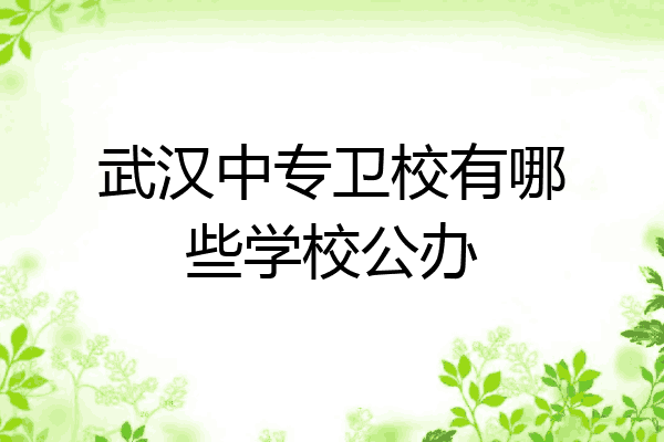 武汉中专卫校有哪些学校公办