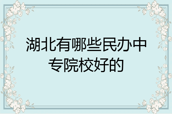 湖北有哪些民办中专院校好的