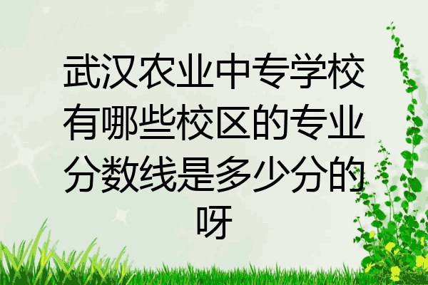 武汉农业中专学校有哪些校区的专业分数线是多少分的呀