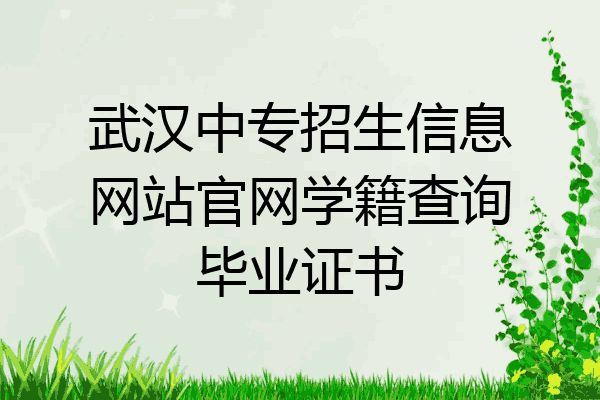 武汉中专招生信息网站官网学籍查询毕业证书