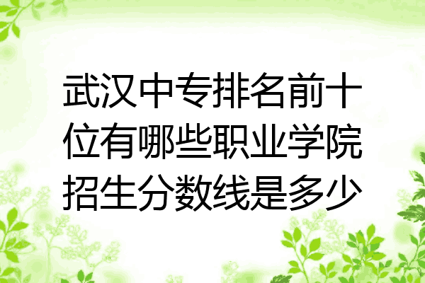 武汉中专排名前十位有哪些职业学院招生分数线是多少