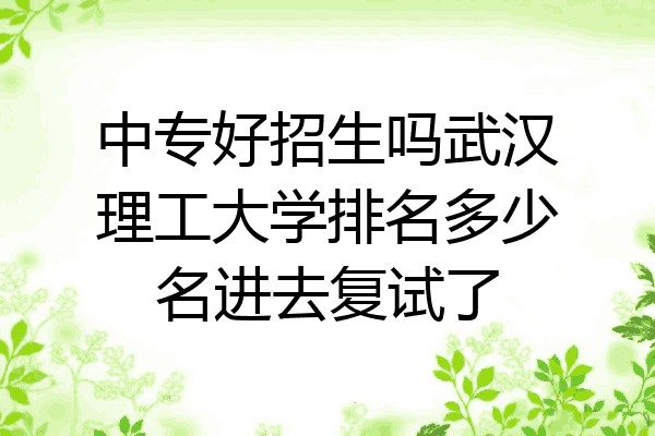中专好招生吗武汉理工大学排名多少名进去复试了