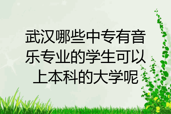 武汉哪些中专有音乐专业的学生可以上本科的大学呢