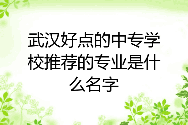 武汉好点的中专学校推荐的专业是什么名字