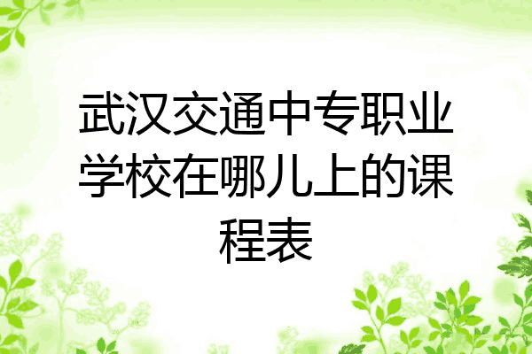 武汉交通中专职业学校在哪儿上的课程表
