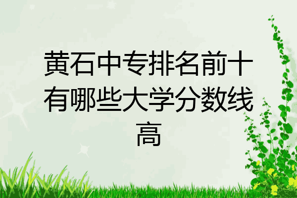 黄石中专排名前十有哪些大学分数线高