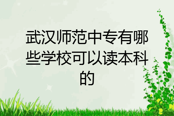武汉师范中专有哪些学校可以读本科的