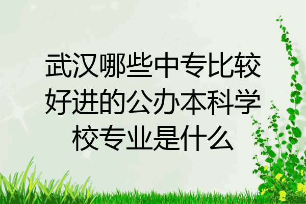 武汉哪些中专比较好进的公办本科学校专业是什么