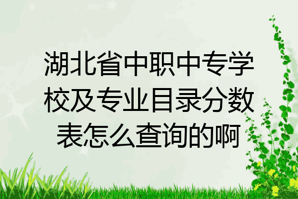 湖北省中职中专学校及专业目录分数表怎么查询的啊