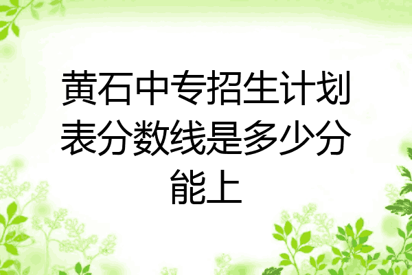 黄石中专招生计划表分数线是多少分能上