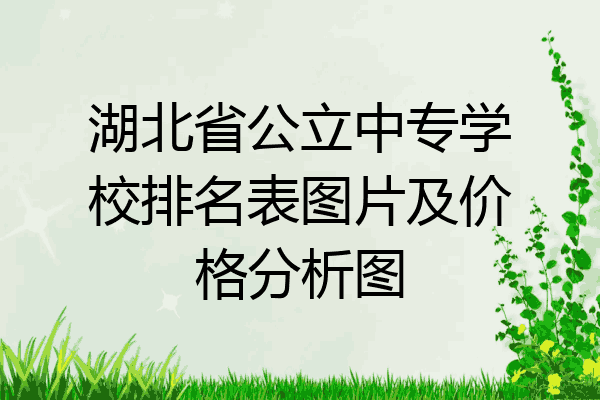 湖北省公立中专学校排名表图片及价格分析图