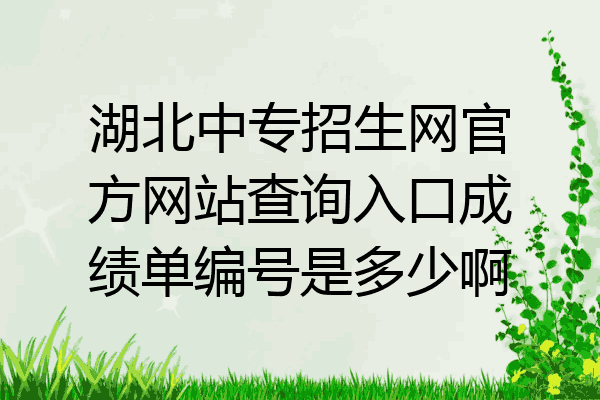 湖北中专招生网官方网站查询入口成绩单编号是多少啊