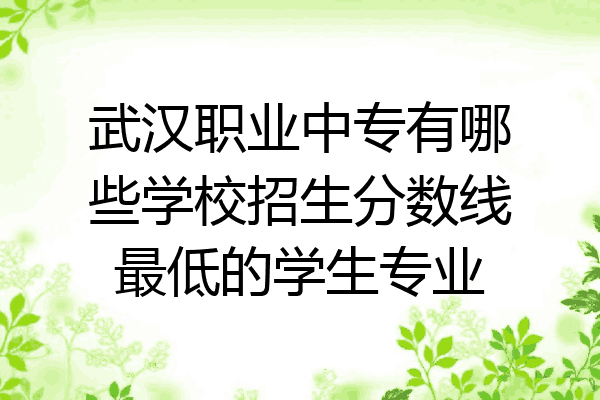 武汉职业中专有哪些学校招生分数线最低的学生专业