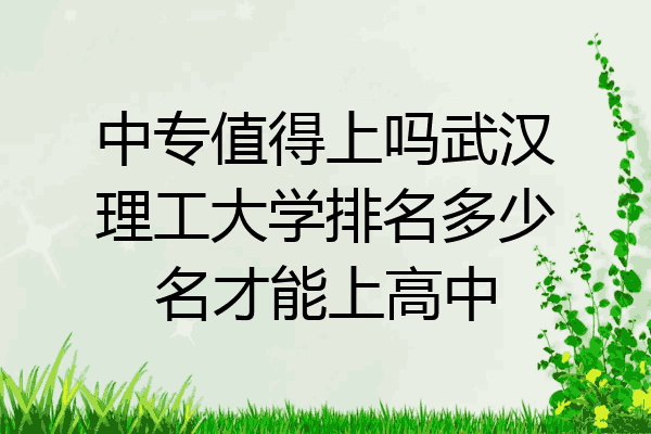 中专值得上吗武汉理工大学排名多少名才能上高中
