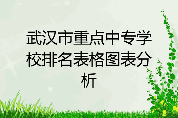 武汉市重点中专学校排名表格图表分析
