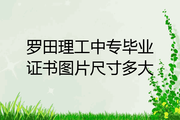 罗田理工中专毕业证书图片尺寸多大