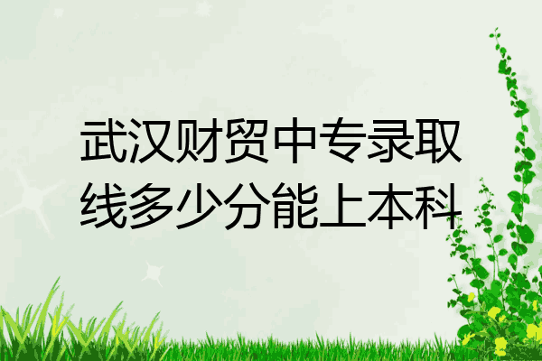 武汉财贸中专录取线多少分能上本科