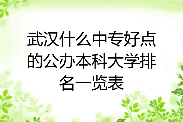 武汉什么中专好点的公办本科大学排名一览表