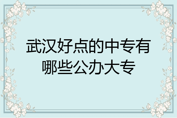 武汉好点的中专有哪些公办大专