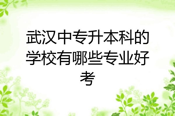 武汉中专升本科的学校有哪些专业好考