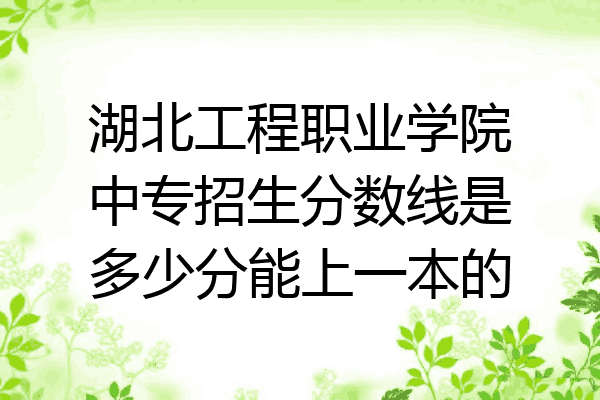 湖北工程职业学院中专招生分数线是多少分能上一本的