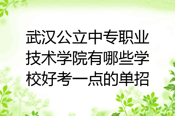 武汉公立中专职业技术学院有哪些学校好考一点的单招