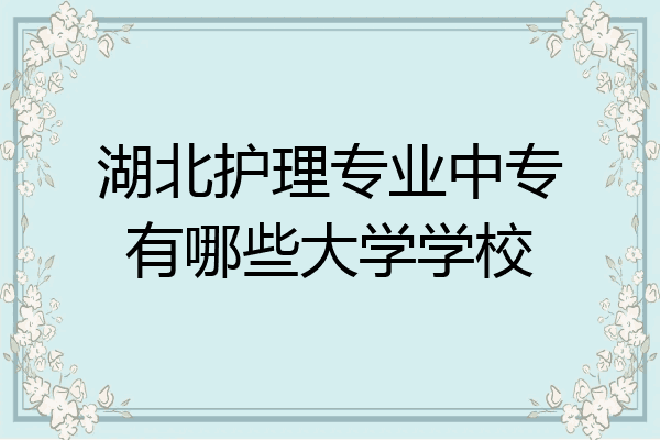 湖北护理专业中专有哪些大学学校