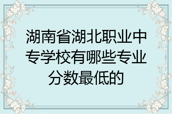 湖南省湖北职业中专学校有哪些专业分数最低的