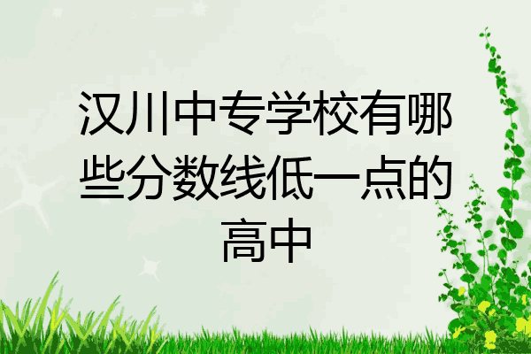 汉川中专学校有哪些分数线低一点的高中