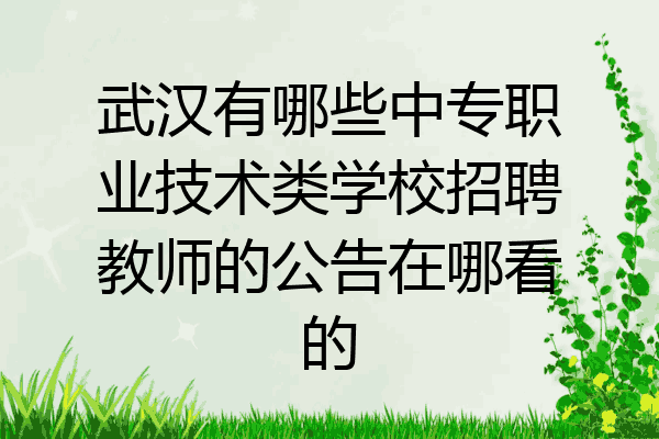 武汉有哪些中专职业技术类学校招聘教师的公告在哪看的