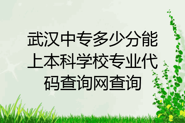 武汉中专多少分能上本科学校专业代码查询网查询