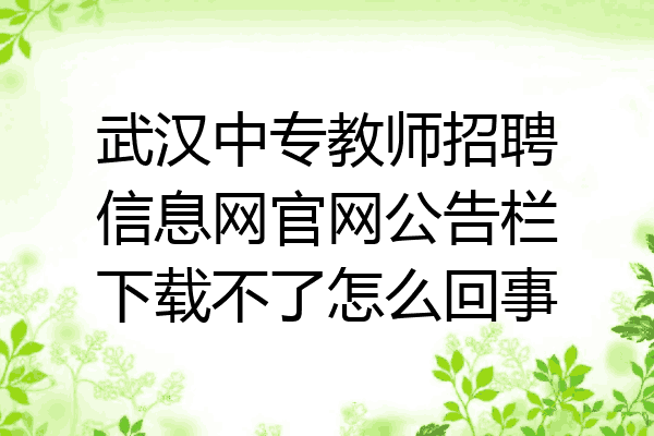 武汉中专教师招聘信息网官网公告栏下载不了怎么回事