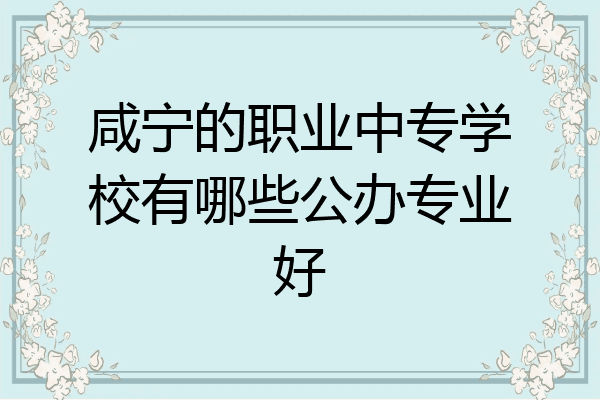 咸宁的职业中专学校有哪些公办专业好