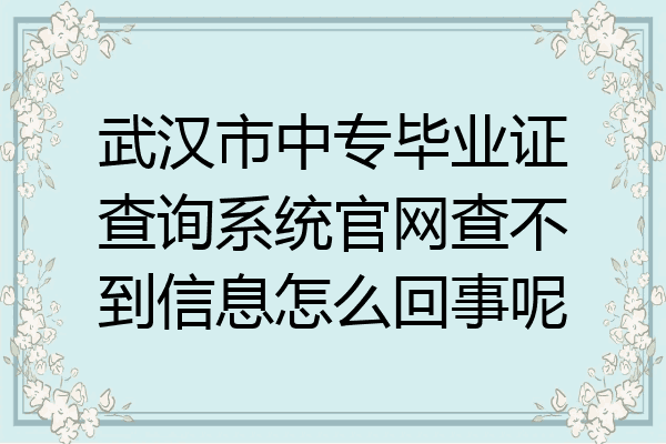 武汉市中专毕业证查询系统官网查不到信息怎么回事呢