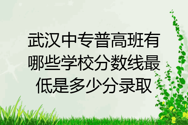 武汉中专普高班有哪些学校分数线最低是多少分录取