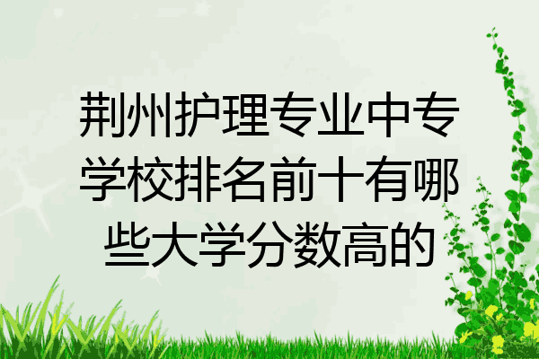 荆州护理专业中专学校排名前十有哪些大学分数高的