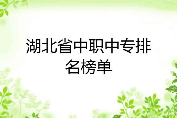 湖北省中职中专排名榜单