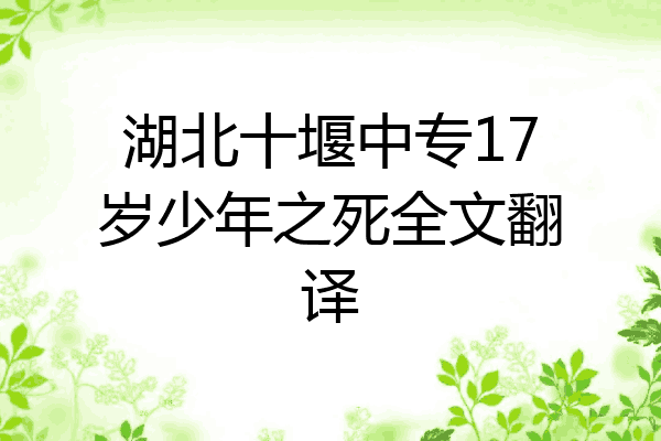 湖北十堰中专17岁少年之死全文翻译