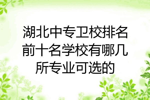 湖北中专卫校排名前十名学校有哪几所专业可选的