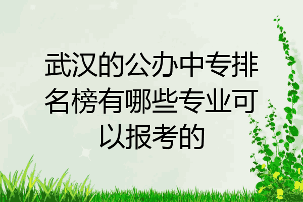 武汉的公办中专排名榜有哪些专业可以报考的