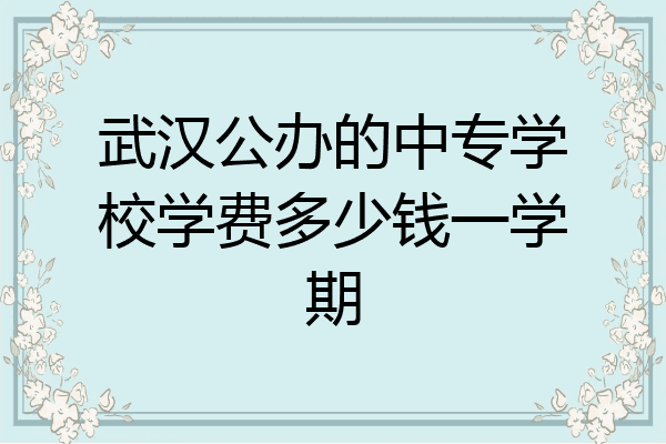 武汉公办的中专学校学费多少钱一学期