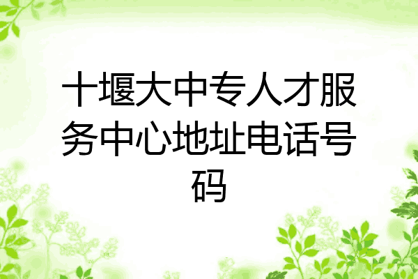 十堰大中专人才服务中心地址电话号码