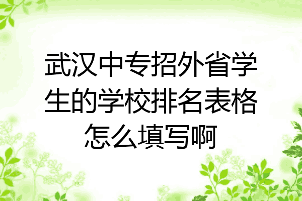 武汉中专招外省学生的学校排名表格怎么填写啊