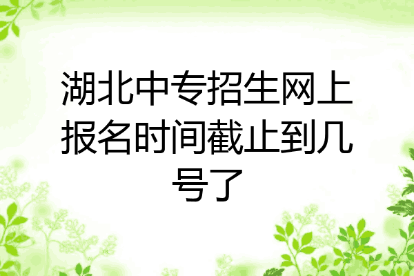 湖北中专招生网上报名时间截止到几号了