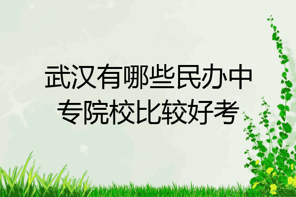 武汉有哪些民办中专院校比较好考