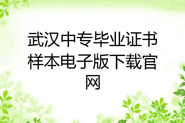 武汉中专毕业证书样本电子版下载官网